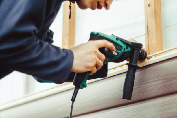 Best Aluminum Siding Installation  in Chalco, NE
